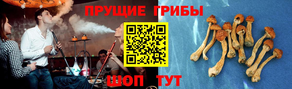 сколько стоит  Псилоцибиновые грибы Psilocybe  Вход с VPN  Кудымкар  Псилоцибиновые грибы MAGIC MUSHROOMS 